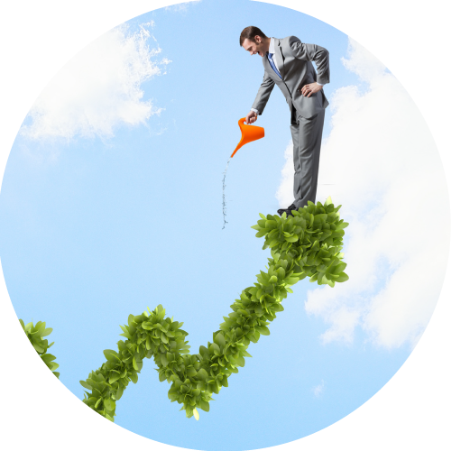 Diseño de fórmula y optimización